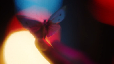 a blurry image of a butterfly in a vase