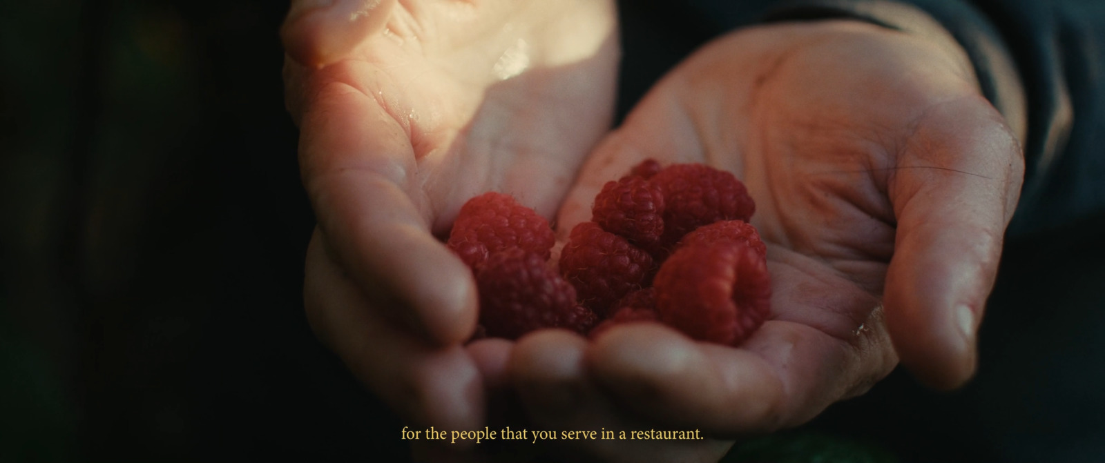 a person holding raspberries in their hands