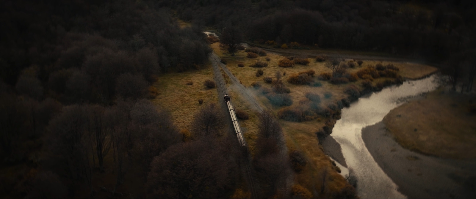 a train traveling through a lush green forest