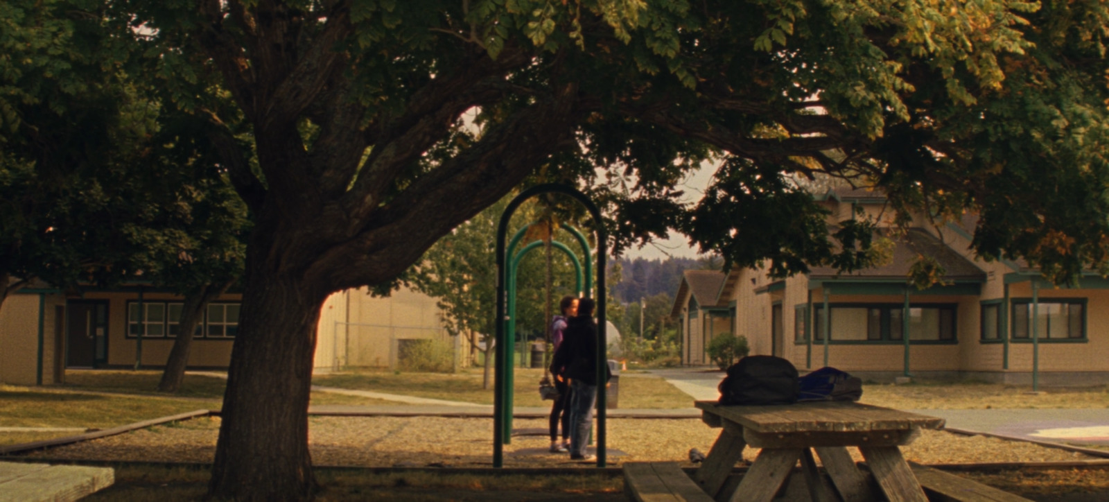 a couple of people standing next to a tree