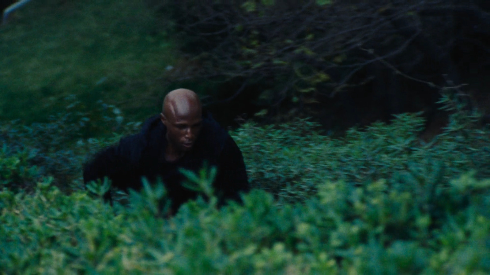 a man walking through a lush green forest