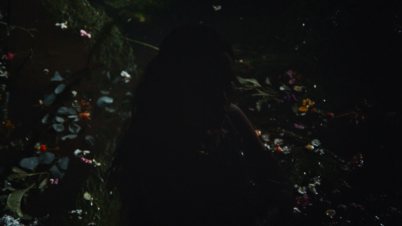 a woman standing in a field of flowers at night