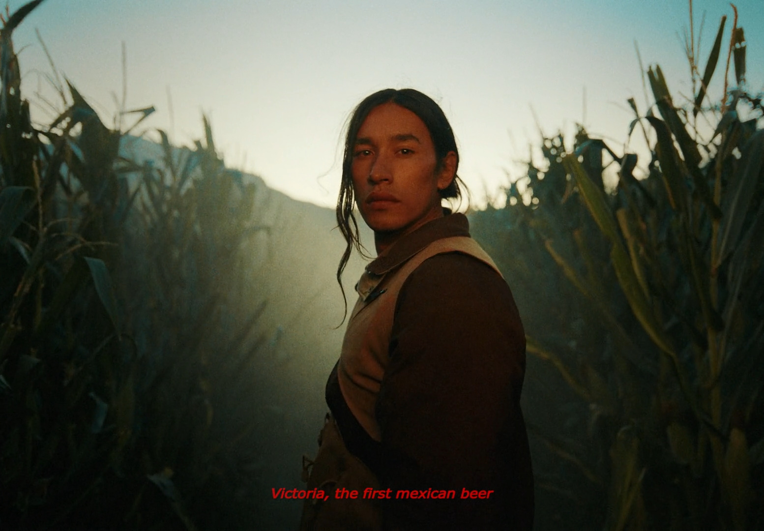 a woman standing in a field of corn