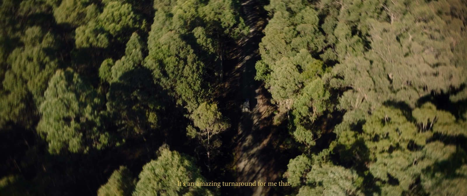 an aerial view of a forest with lots of trees