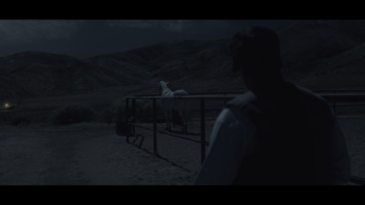 a person standing in front of a fence at night