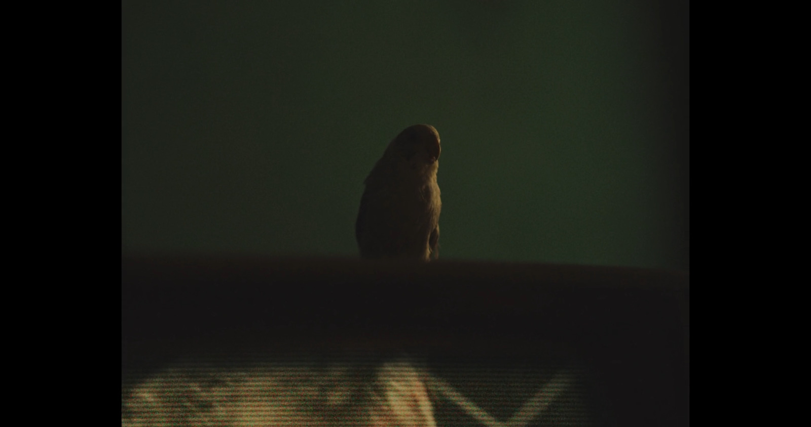 a bird sitting on top of a chair in a room