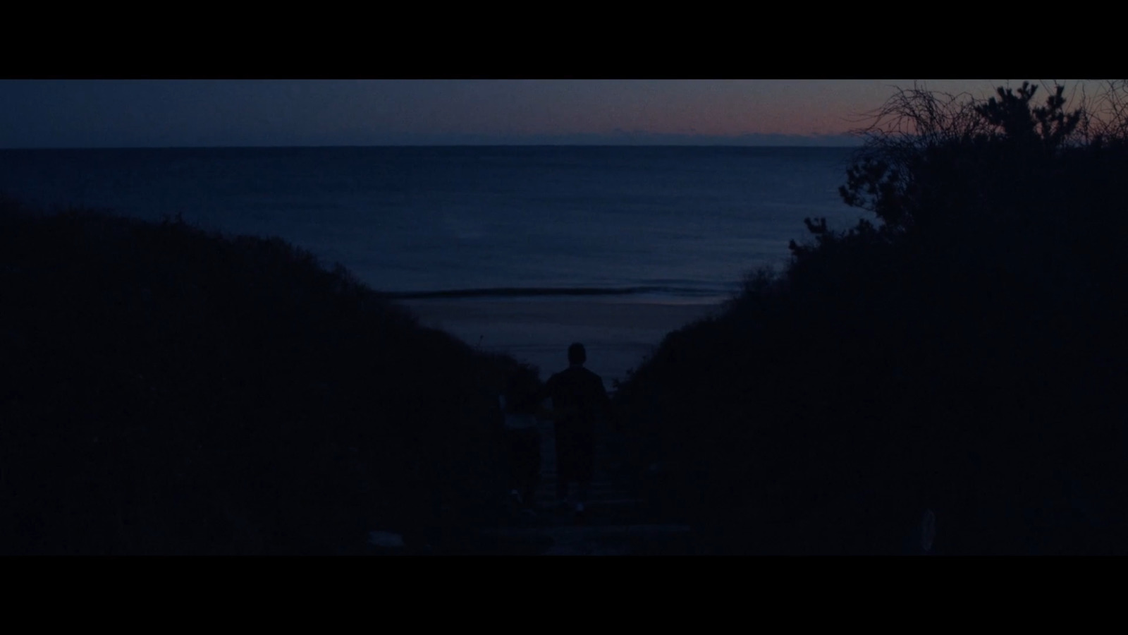 a couple of people standing on top of a hill near the ocean