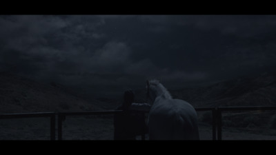 a white horse standing next to a fence at night