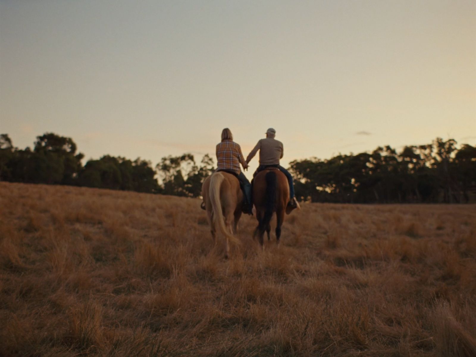 a couple of people riding on the back of horses