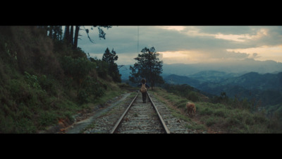 a person standing on a train track with mountains in the background