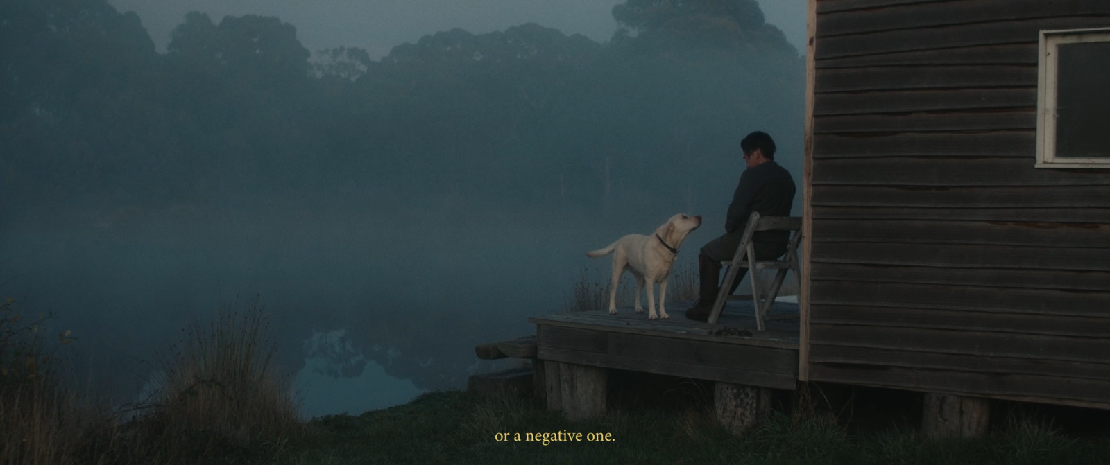 a person sitting on a dock with two dogs