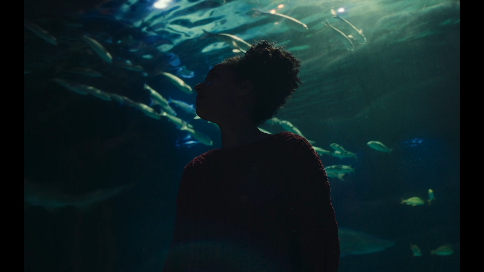 a person standing in front of a large aquarium