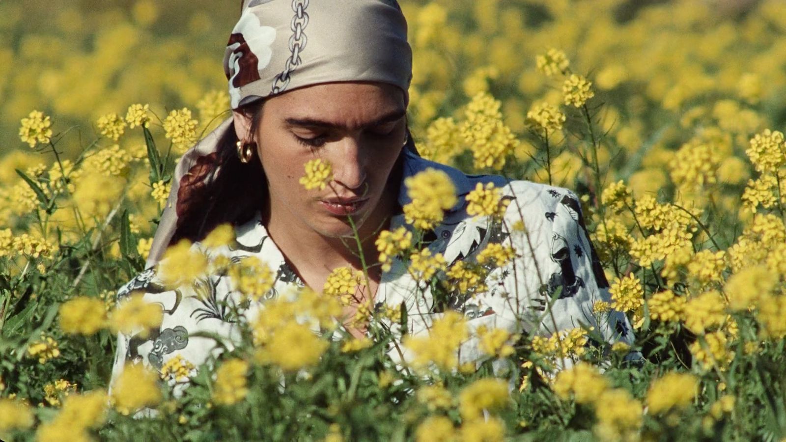 a woman with a bandana in a field of yellow flowers