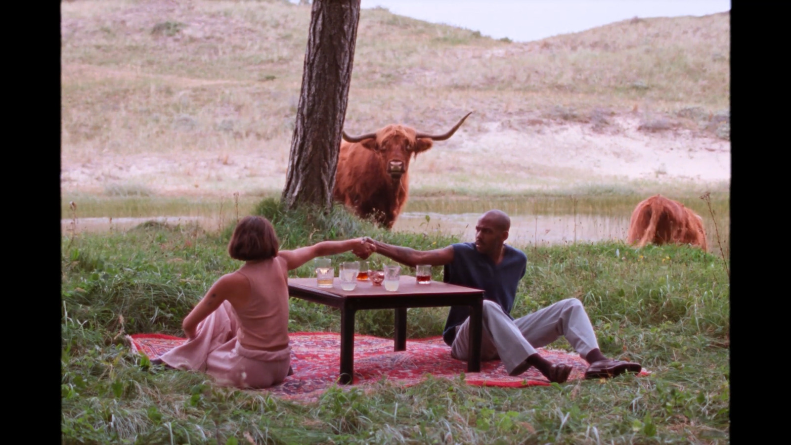 a man and a woman sitting at a picnic table with a cow in the background