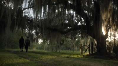 two people walking down a path under a large tree