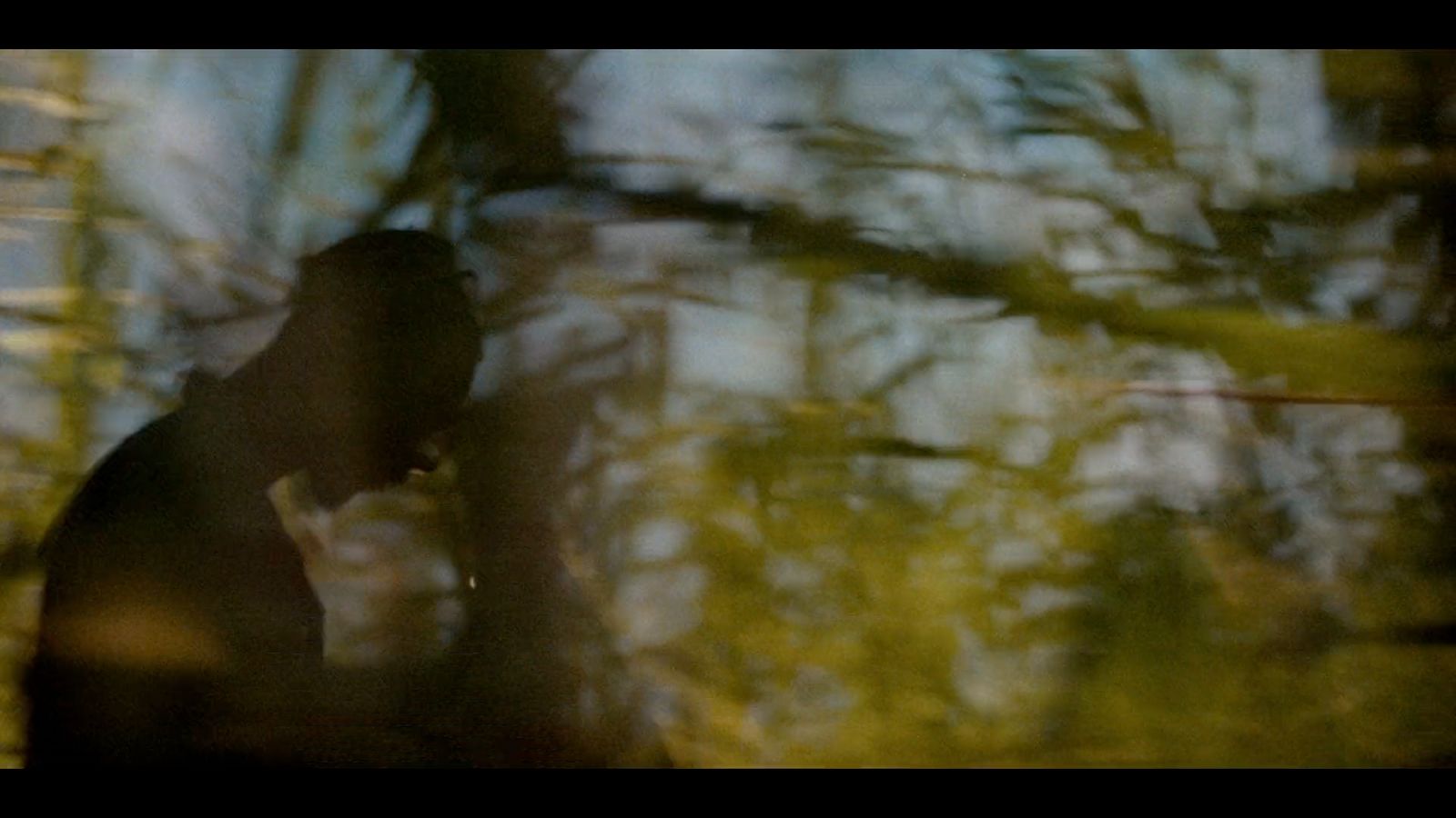 a blurry image of a person standing in front of a tree