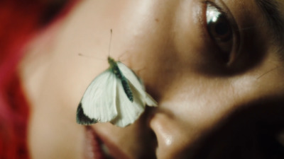 a close up of a butterfly on a woman's face