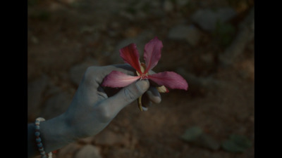 a person holding a flower in their hand