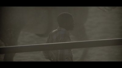 a person standing in front of a fence