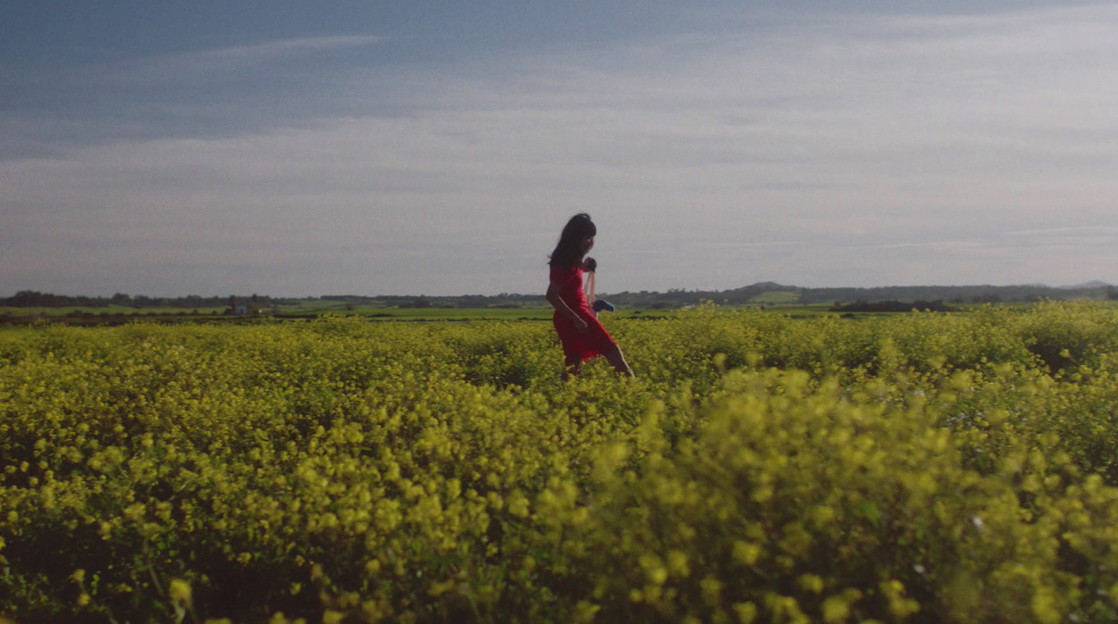 a woman in a field of yellow flowers