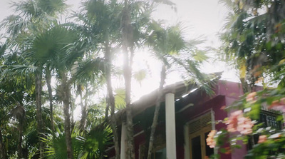 a red house surrounded by palm trees on a sunny day