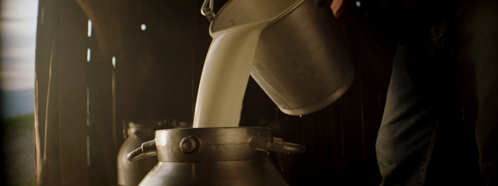 a person pouring milk into a metal pitcher