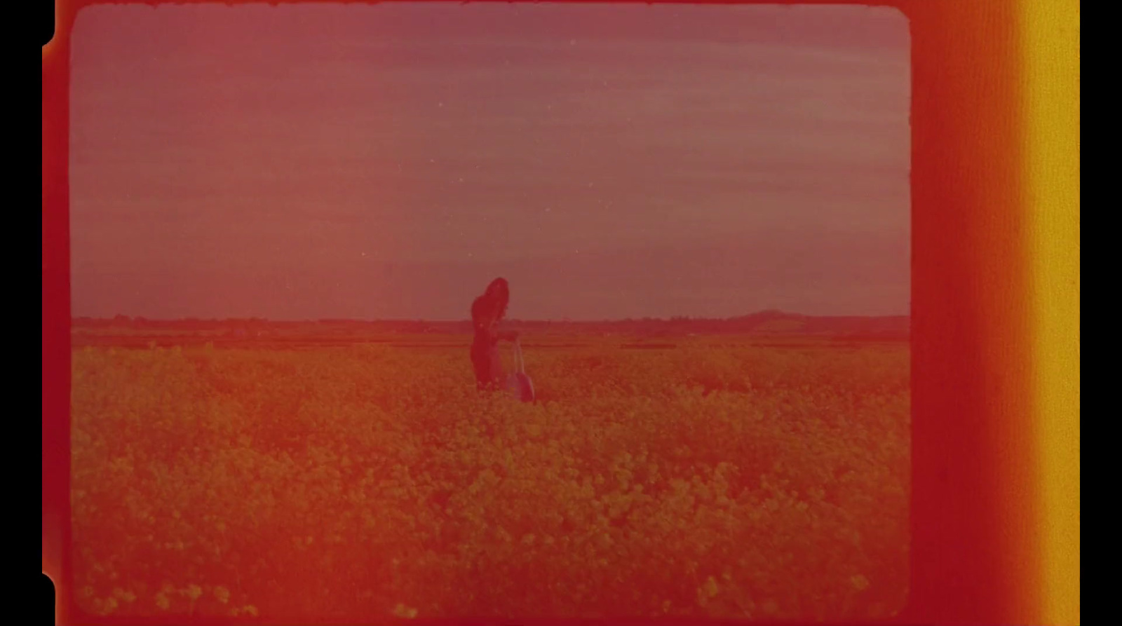 a person standing in a field of tall grass