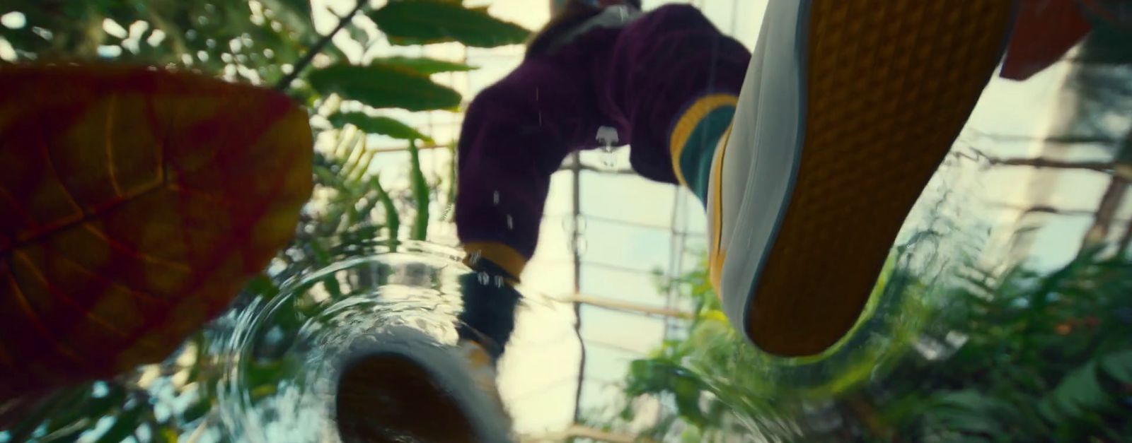 a person standing on a skateboard in a greenhouse