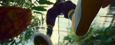 a person standing on a skateboard in a greenhouse