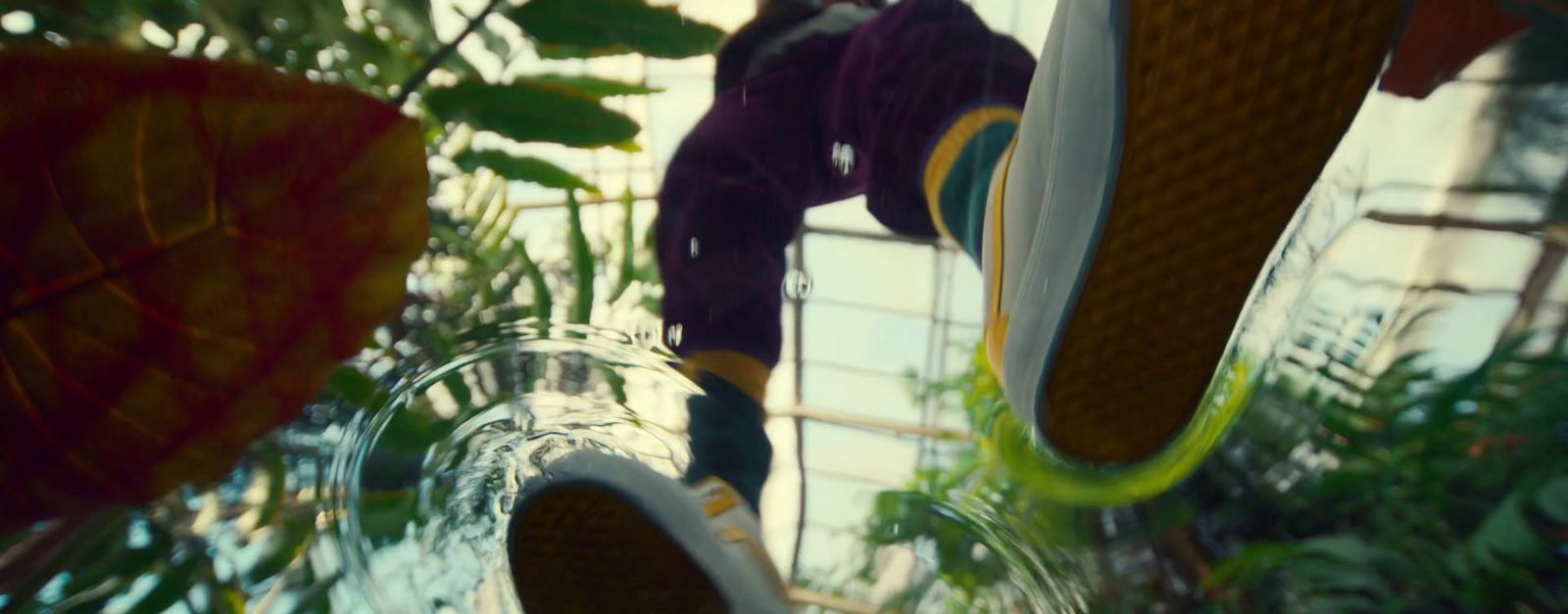 a person on a skateboard in a greenhouse