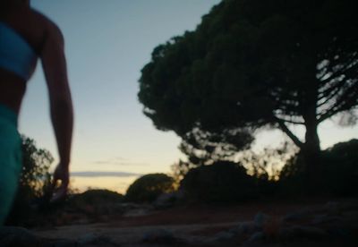 a person walking on a beach with a tree in the background