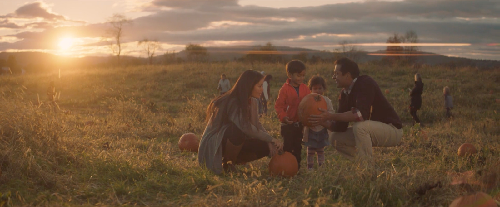 a group of people in a field with pumpkins