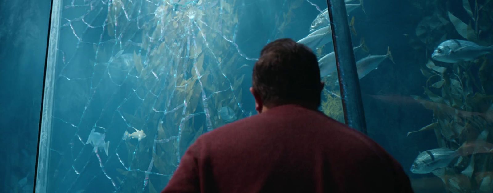 a man standing in front of a fish tank