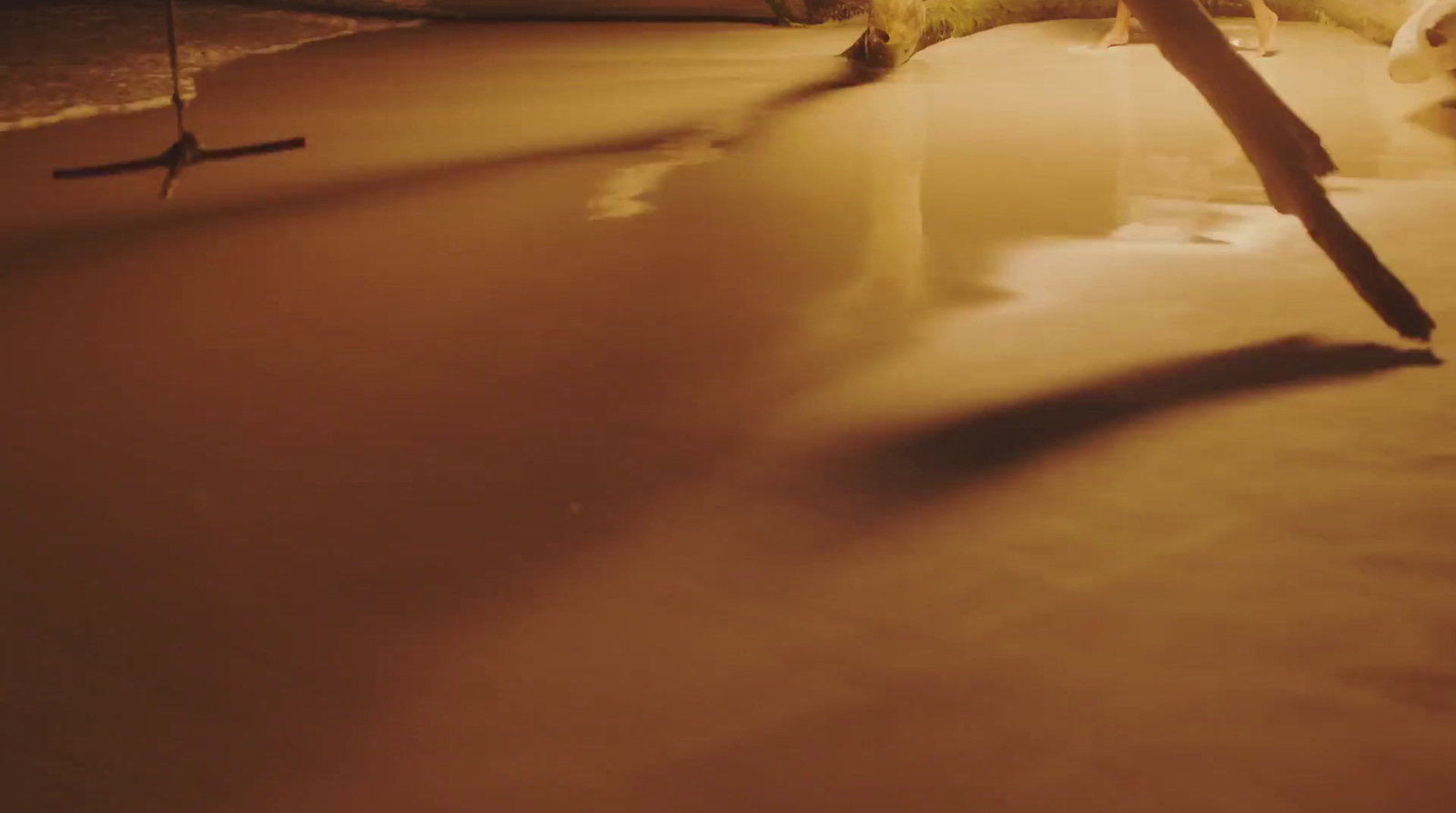 a person standing on a beach with a surfboard