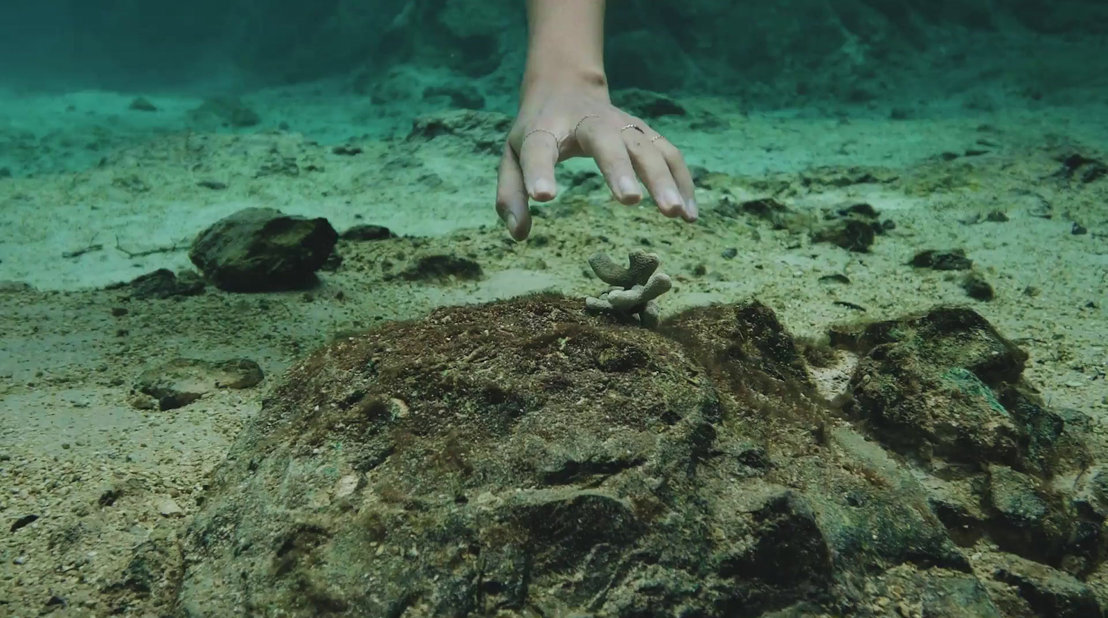 a person reaching for something in the sand