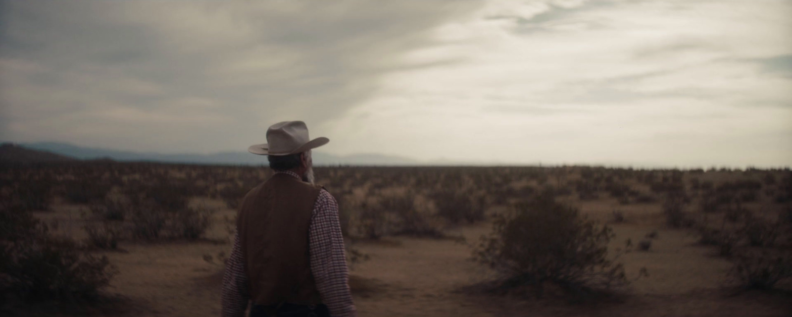 a man in a cowboy hat walking through a desert