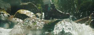 a dog sitting on a rock in a stream of water