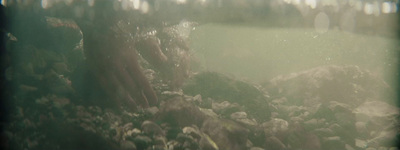 a blurry photo of rocks and trees in a forest