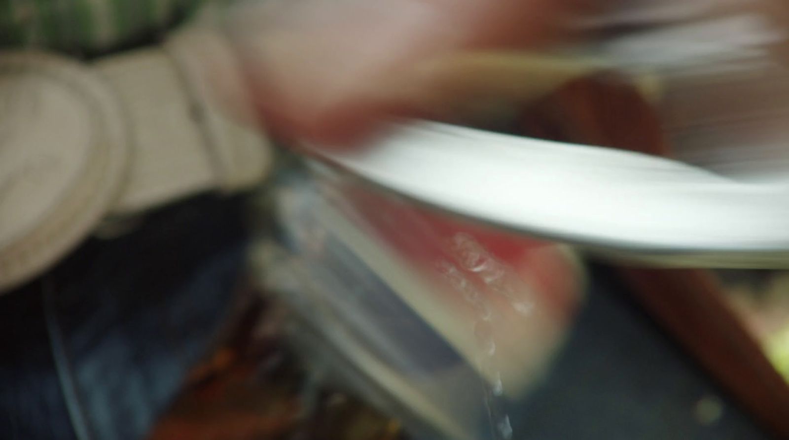 a blurry photo of a person holding a plate