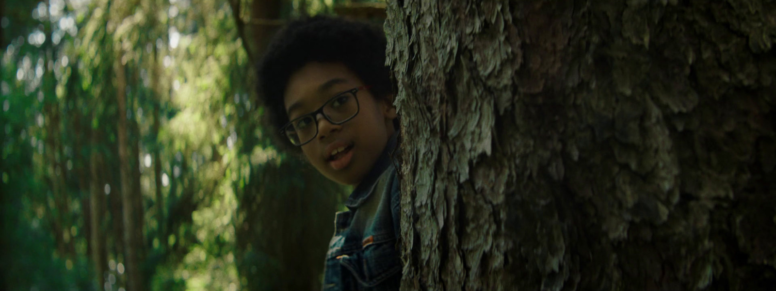 a boy wearing glasses peeking out from behind a tree