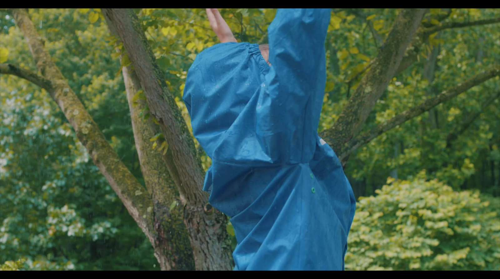 a statue of a person reaching up into a tree