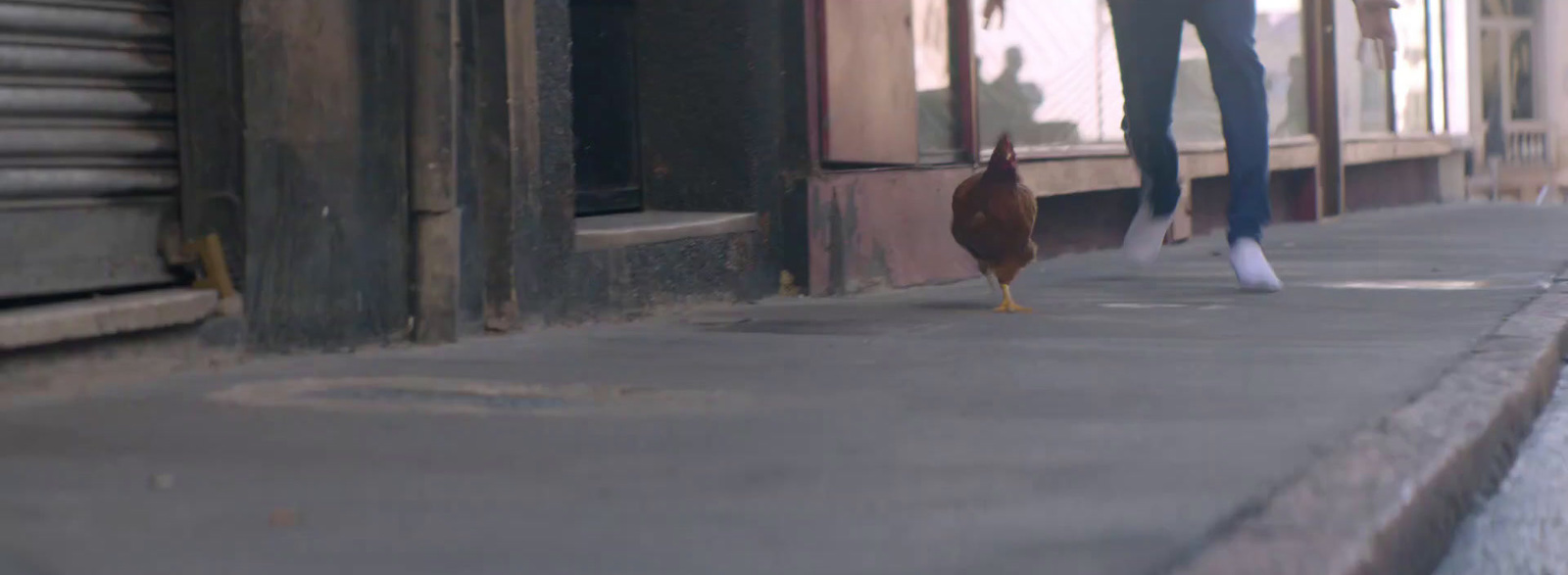 a person walking down a street with a chicken