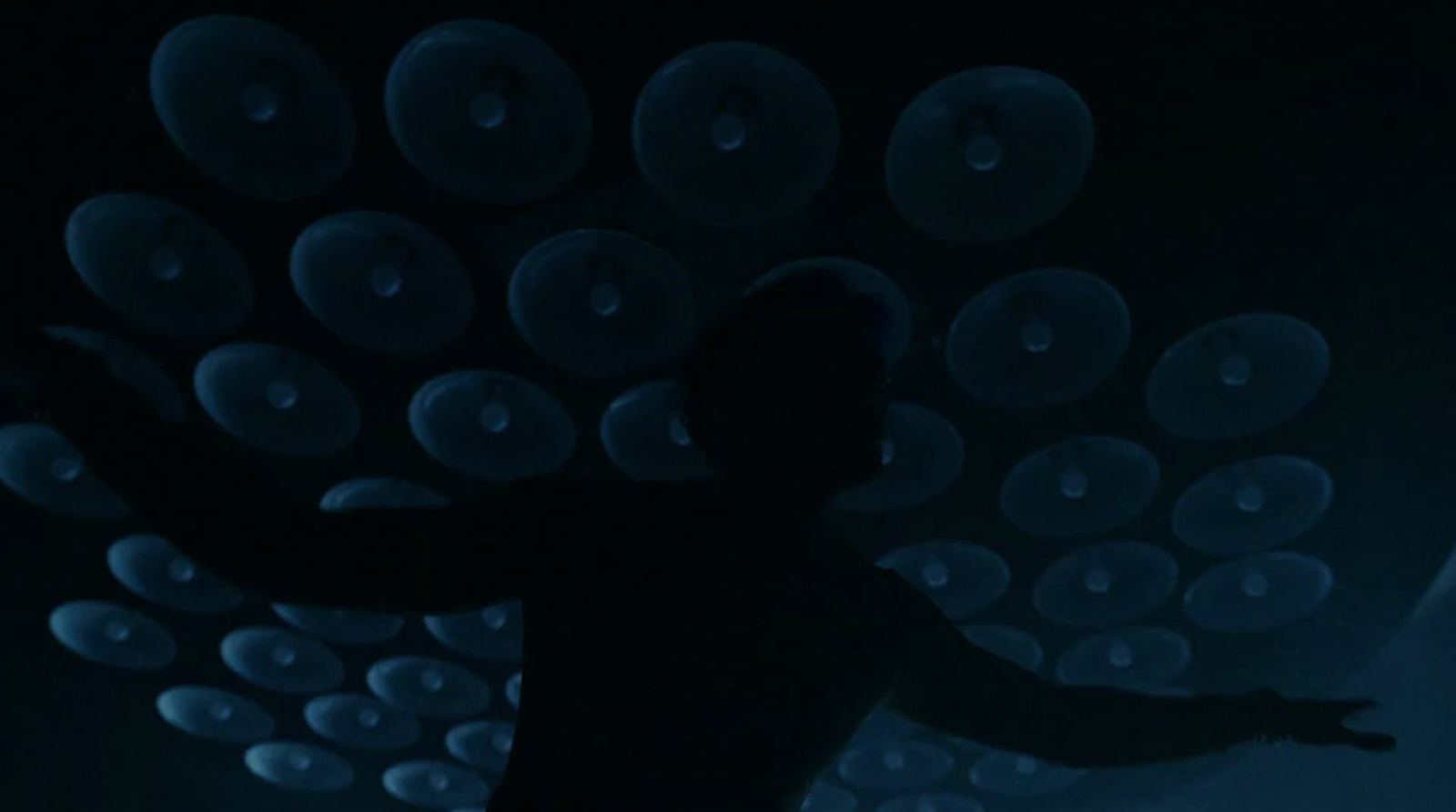 a person standing in front of a wall of bubbles