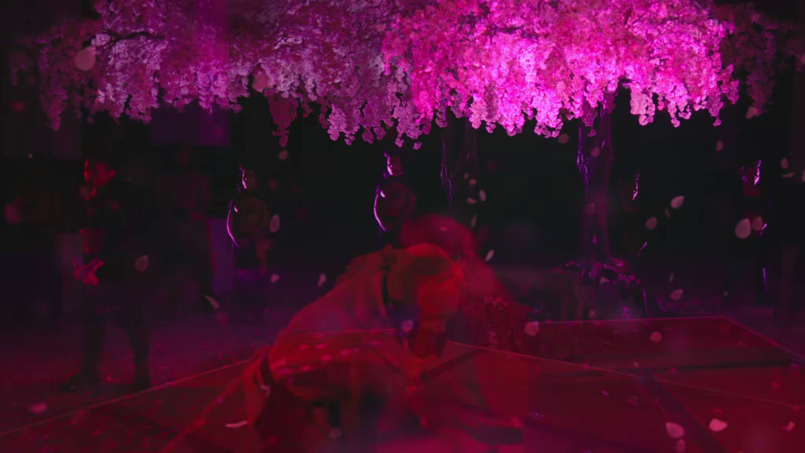 a group of people standing under a pink tree