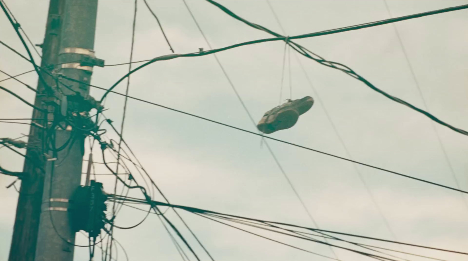 a bird is perched on a telephone pole