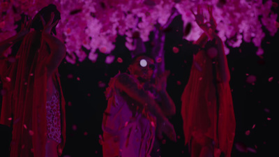 a group of people standing under a tree filled with pink flowers