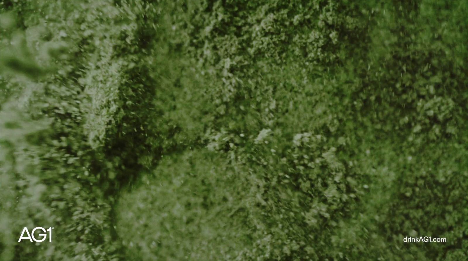 a close up of a mossy surface with a green background