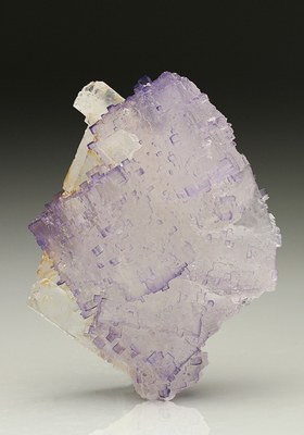 a piece of purple rock with a white background