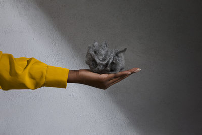 a person's hand holding a small gray animal