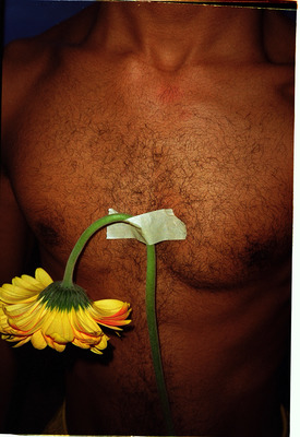 a shirtless man holding a yellow flower